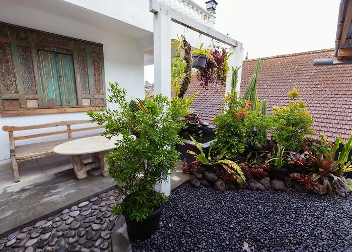 Hostal Chakra Backpacker & Vegetarian Bistro