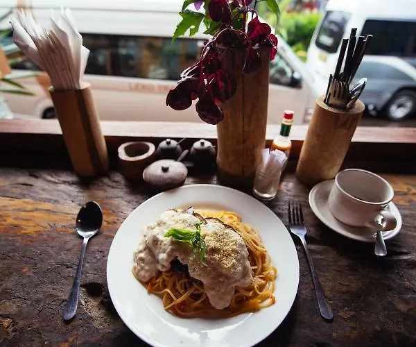 Chakra Backpacker & Vegetarian Bistro Hostal Bedugul (Bali)